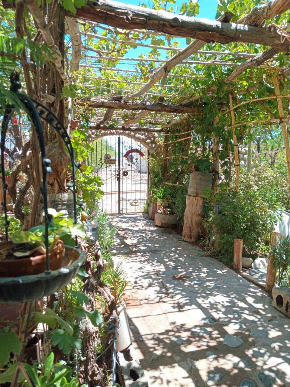 Hostel Mami Cruz Качі Екстер'єр фото